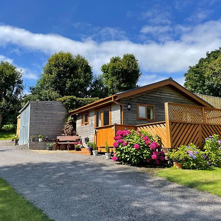 Swansea Log Cabin Pontardawe Exteriér fotografie