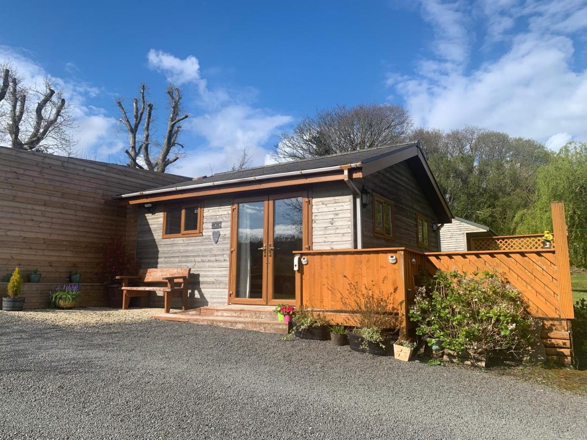 Swansea Log Cabin Pontardawe Exteriér fotografie