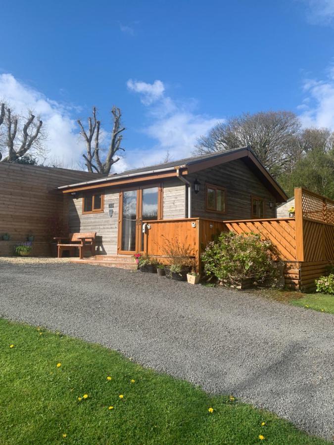 Swansea Log Cabin Pontardawe Exteriér fotografie