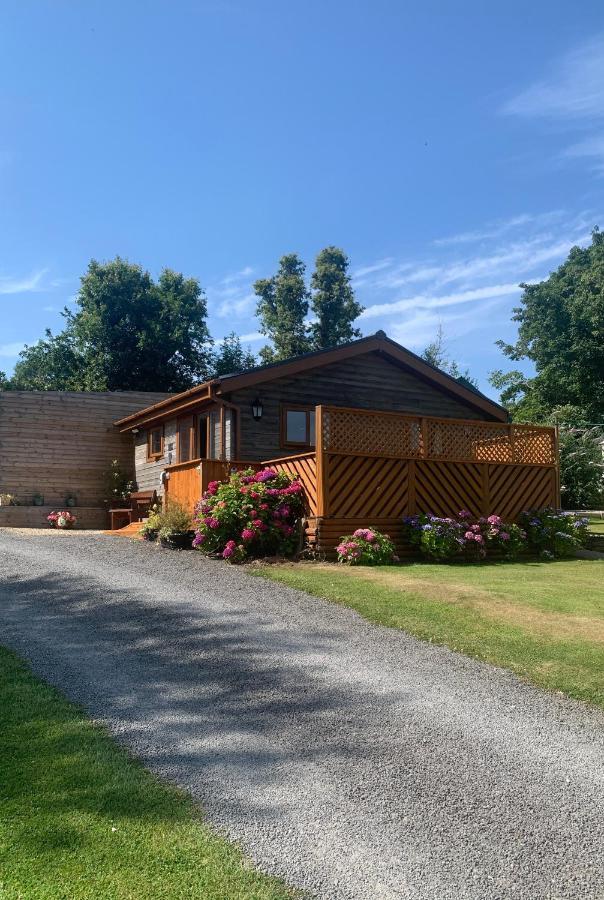 Swansea Log Cabin Pontardawe Exteriér fotografie