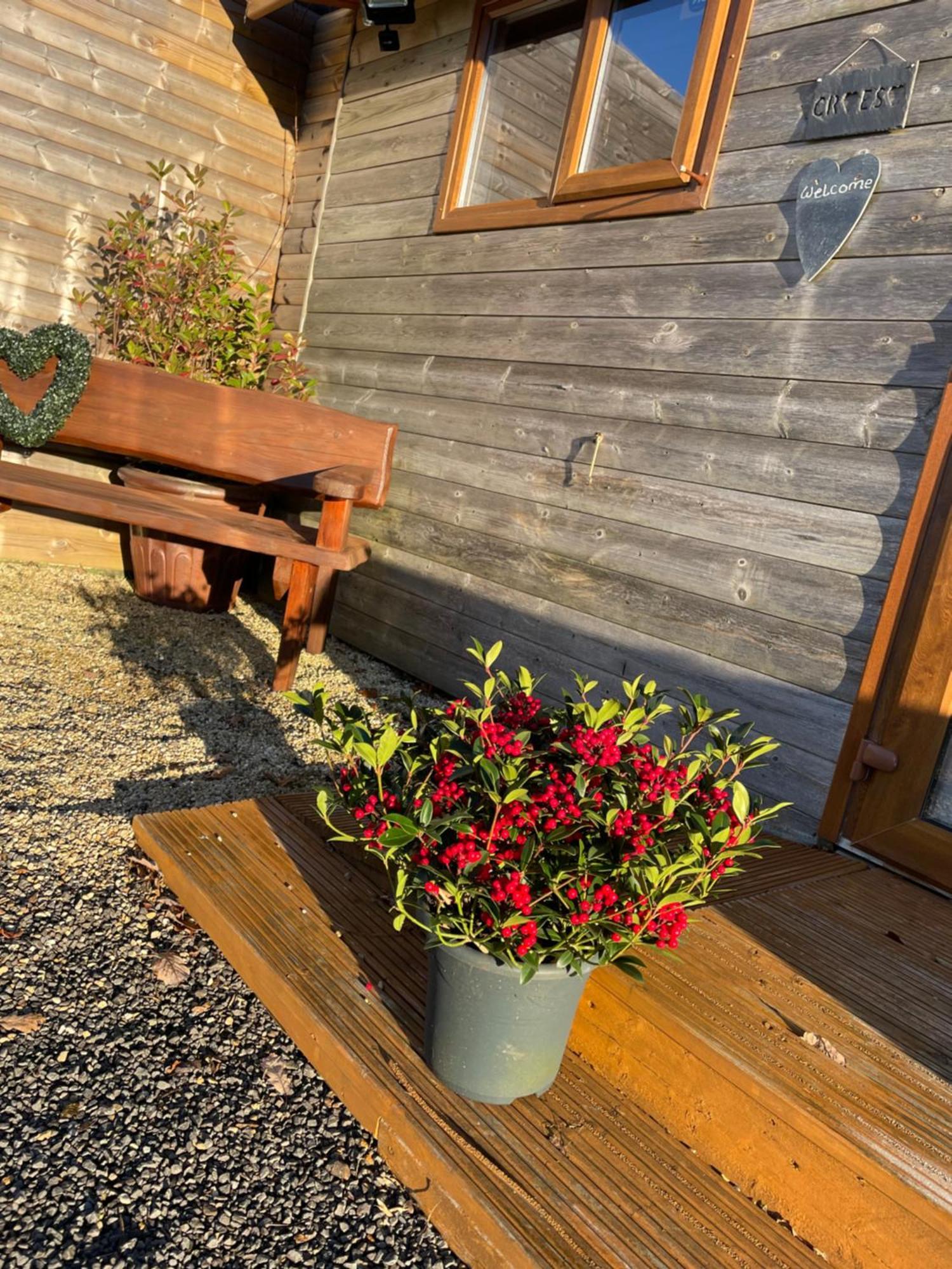 Swansea Log Cabin Pontardawe Exteriér fotografie