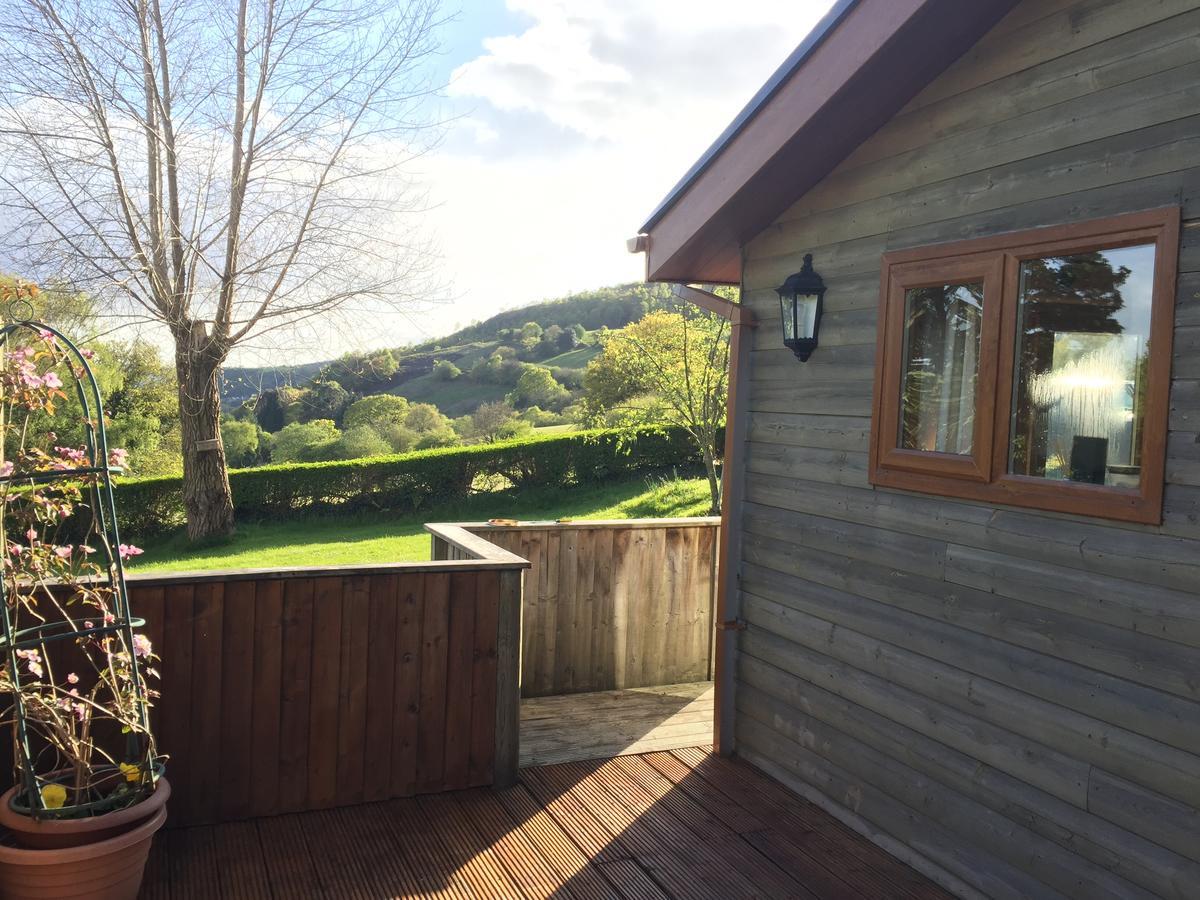 Swansea Log Cabin Pontardawe Exteriér fotografie