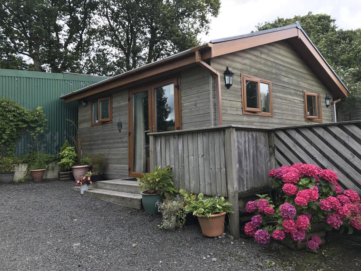 Swansea Log Cabin Pontardawe Exteriér fotografie