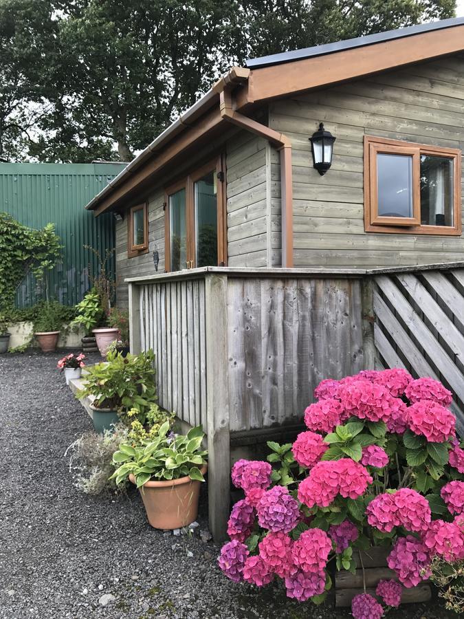 Swansea Log Cabin Pontardawe Exteriér fotografie