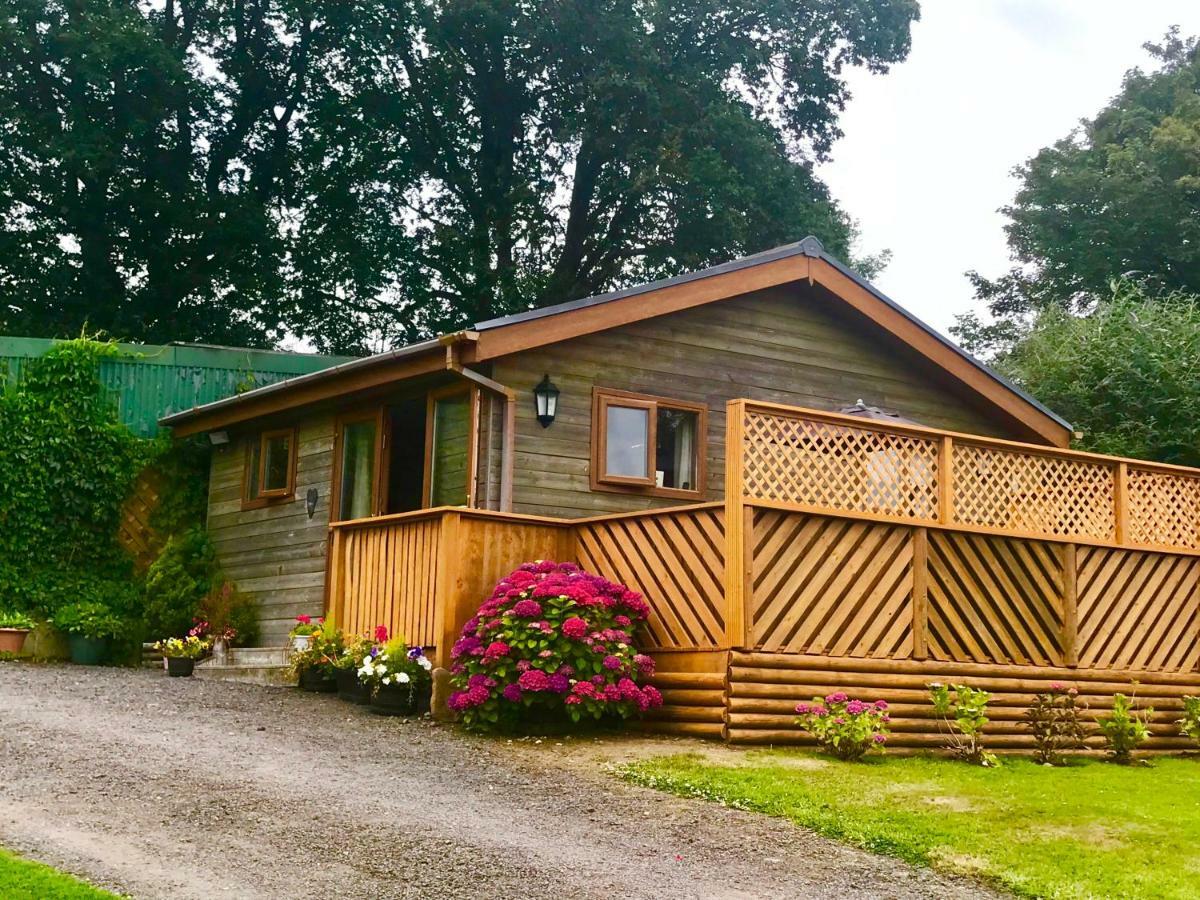 Swansea Log Cabin Pontardawe Exteriér fotografie